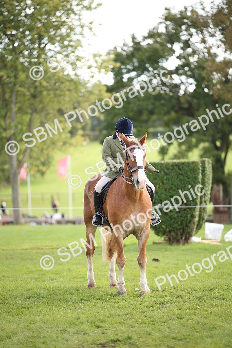 SBM_50222 - S26 - Young Veteran - Ridden