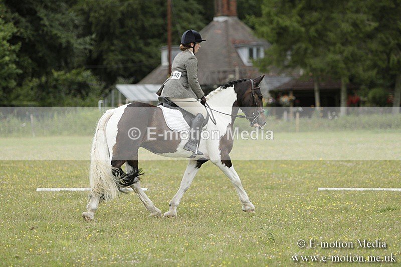 BVR160717-1177 - Class 2 Dressage 16/07/17