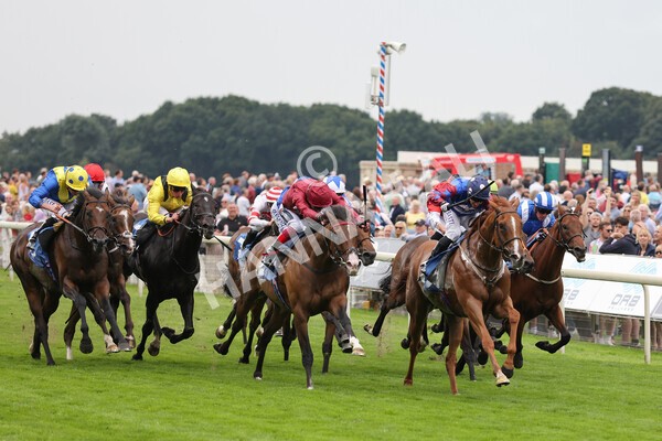 yr19082021r3-29 - Race 3 3.00pm Clipper Logistics Stakes