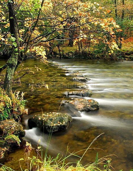 lll0039a - South Lakes