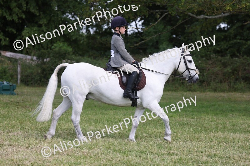 20260614-0803 - Class 20 - Beginners Working Hunter Pony