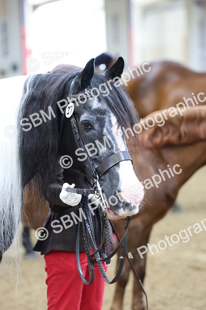 SBM_21833 - Class 901 - Supreme Final - IH  Diamond