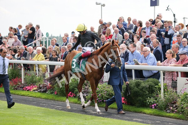 yr20082021r2-23 - Race 2 2.25pm Weatherbys Hamilton Lonsdale Cup (British Champion Series race)