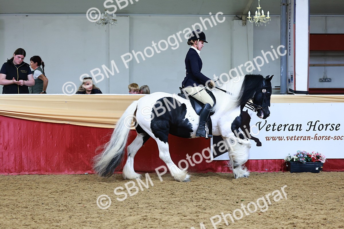 SBM_23464 - class 906 - Supreme Final - Ridden Pre Vet