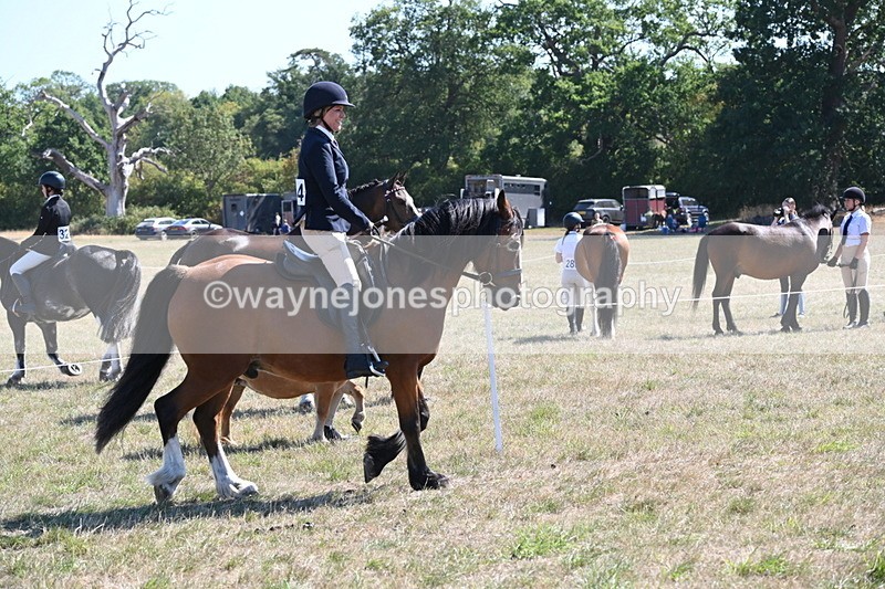 WJ6_8245 - Class 37a Best Loan Pony Ridden