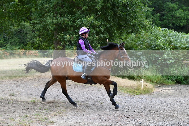 WJ5_1817 - XC Time 12:05 to 12:55