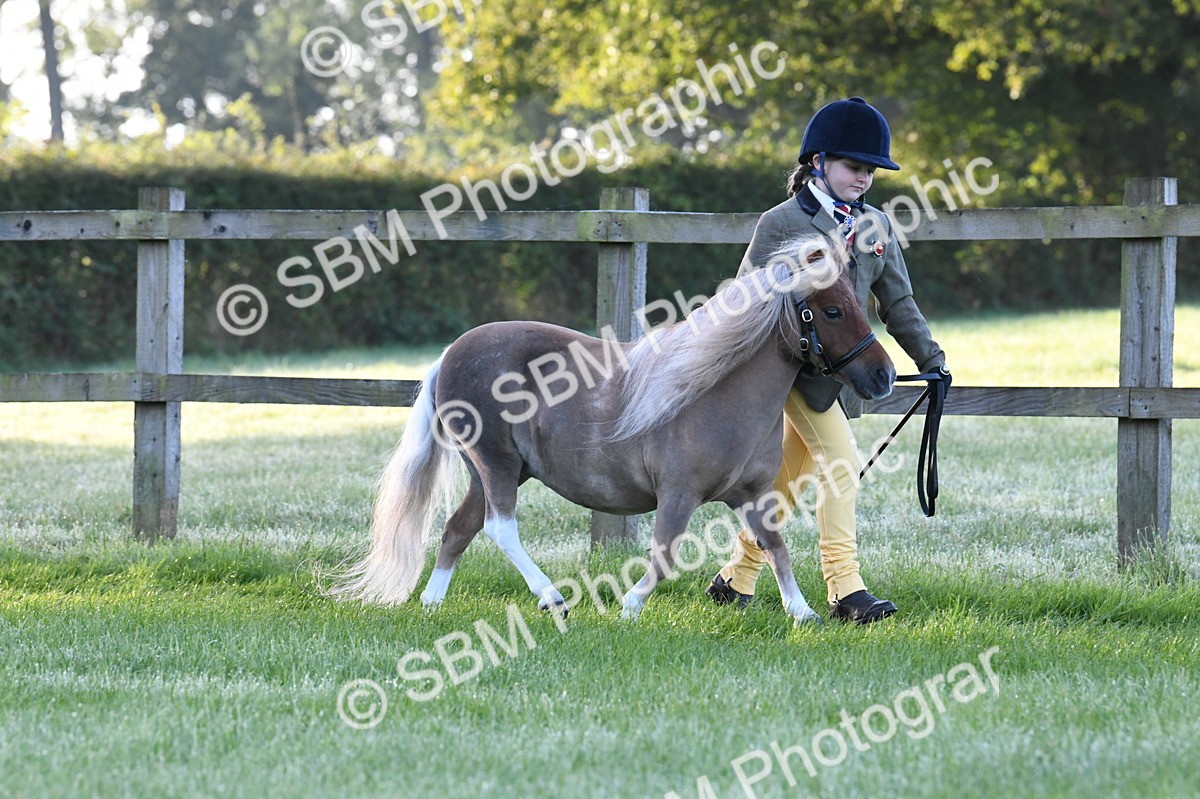 SBM_32606 - S15 - Condition & Turnout In Hand