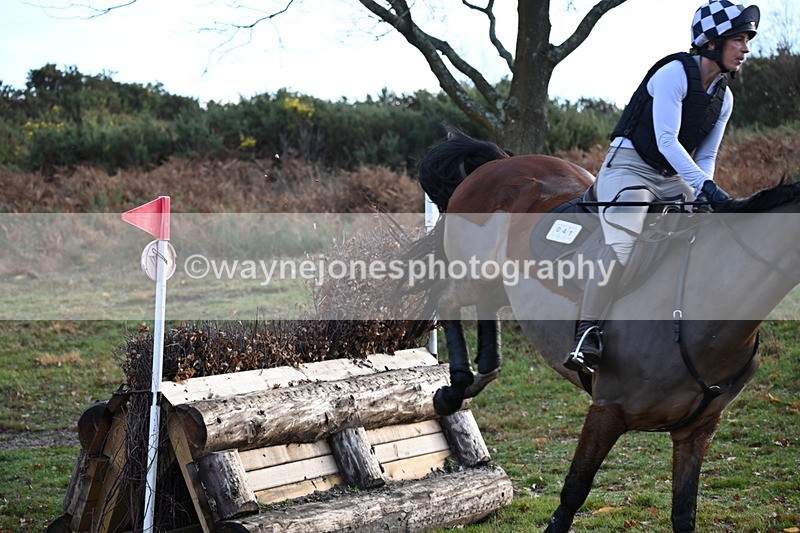 WJ6_3925 - Camera 1 XC