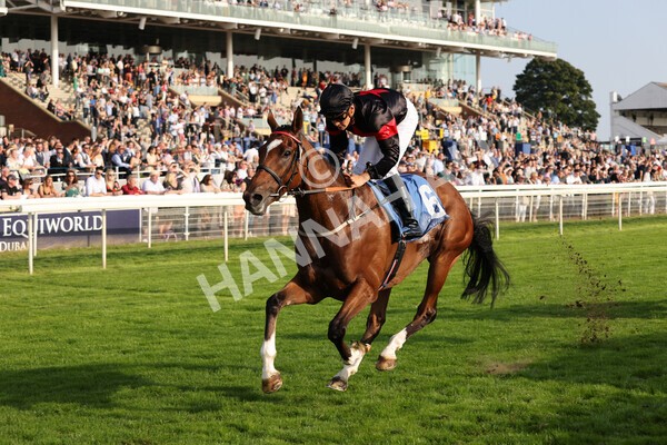 yr05092021r7-26 - Race 7 5.10pm Yorkshire Regiment Stakes