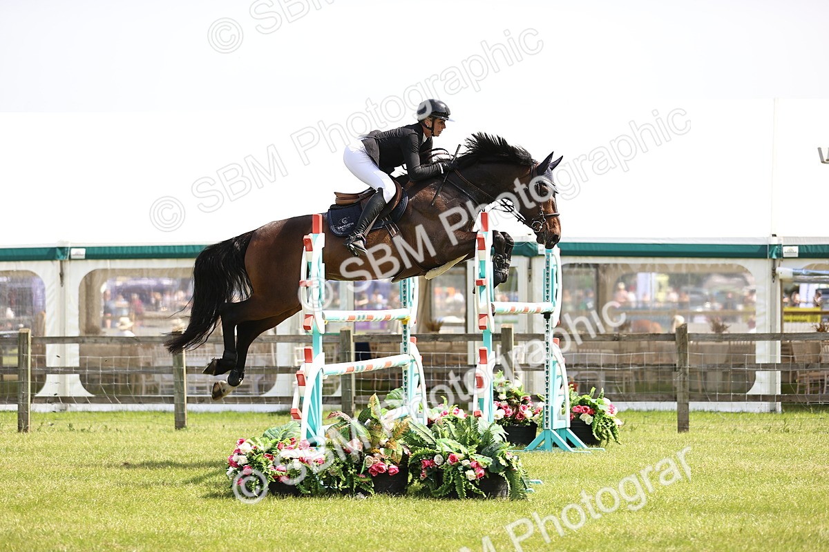 SBM_03224 - Class 201 - British Horse Feedds Speedi Beet HOYS Grade C