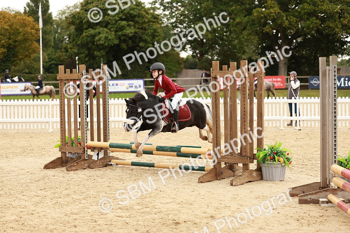 SBM_57924 - J11 - Junior Pony 50cm Championship