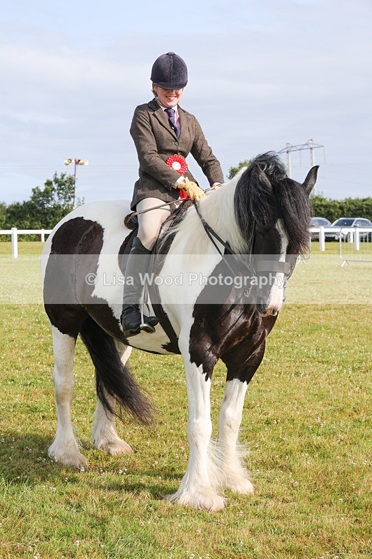 1X9A3169 - Class 27:  Ridden Native/Trad Coloured Horse
