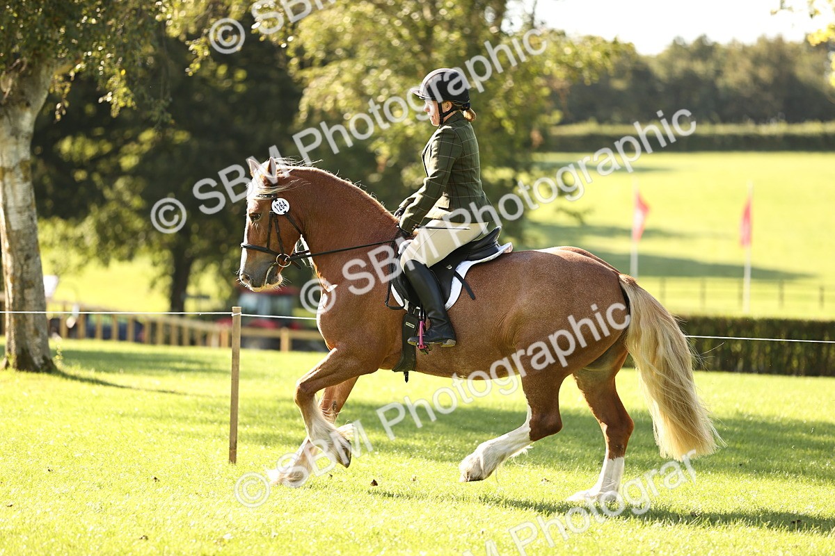 SBM_16958 - S2 - TSR Ridden Pony Showing