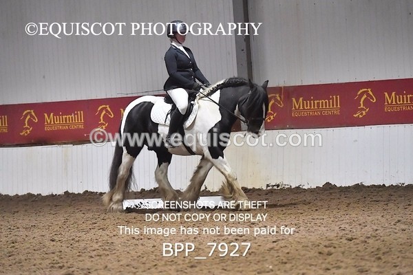 BPP_7927 - INTRO TEST 3