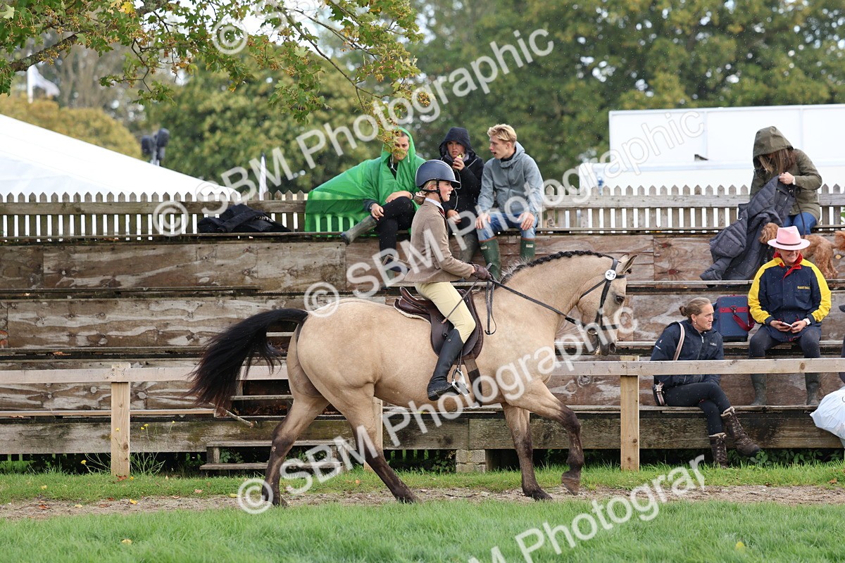 SBM_47683 - S28 - Veteran Ridden