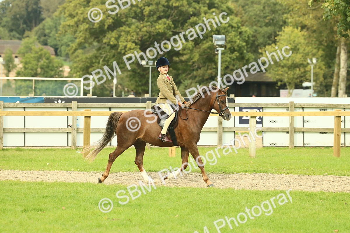 SBM_69880 - S59 - Mountain & Moorland Ridden Small Breeds