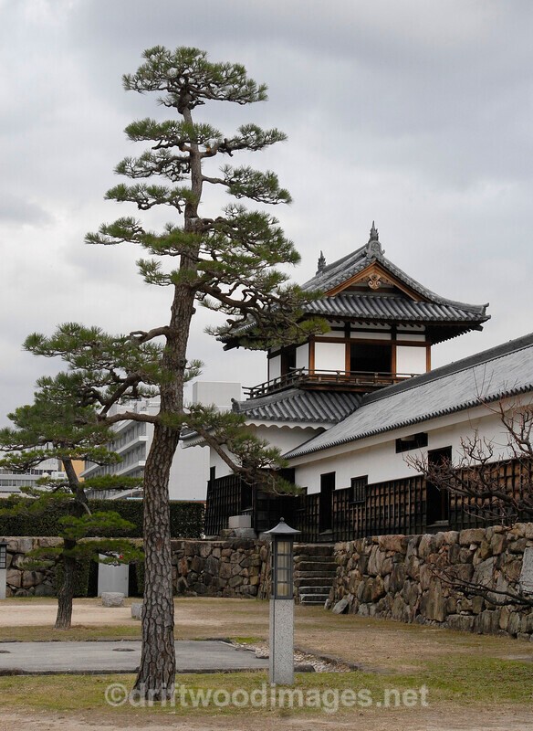 Japan Hiroshima Japan Castle building and tree - Japan