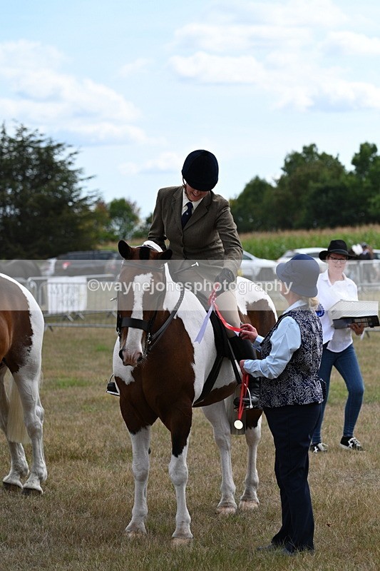 WJ7_5511 - Class 12 Ridden Cob
