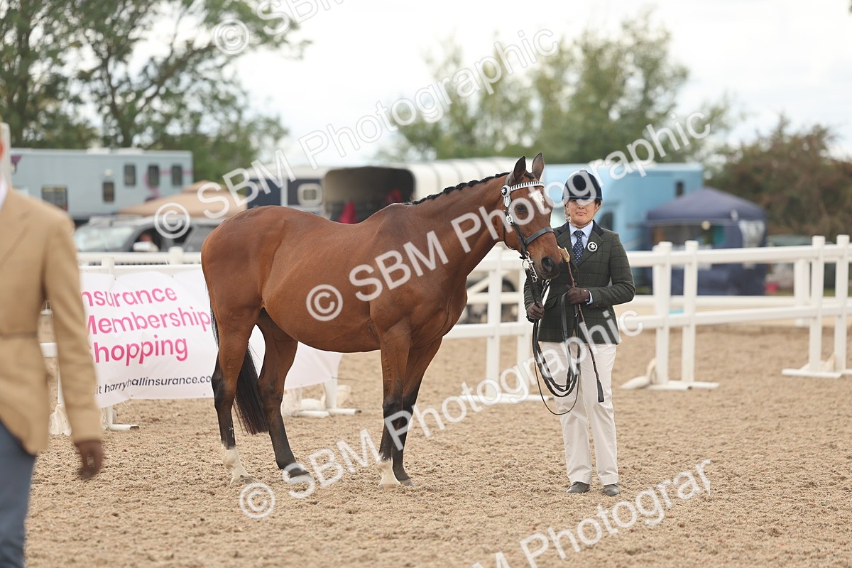 SBM_17133 - Class 313 - IH Retired Racehorse
