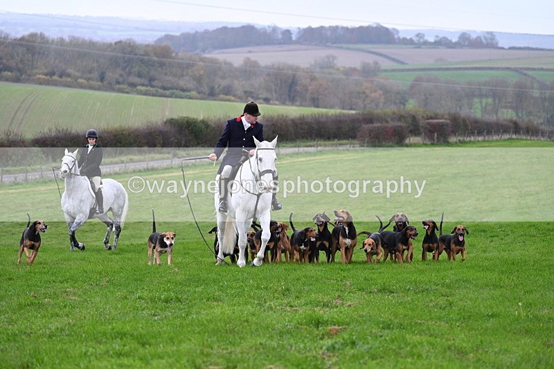 WJ7_8854 - Meet Staff & Hounds