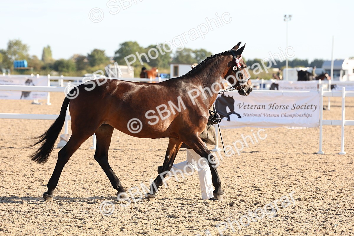 SBM_10818 - Class 201 - Best Turned Out - IH