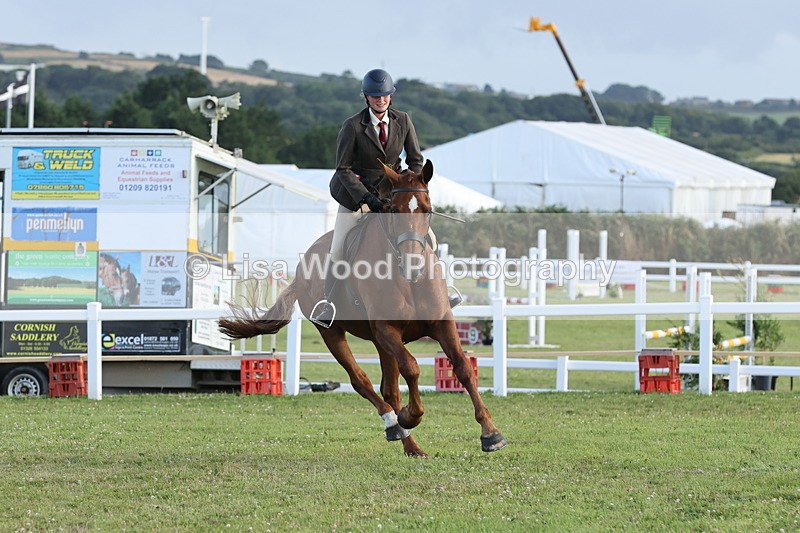 JPP_3787 - Working Hunter Championship