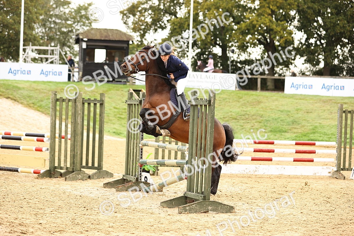 SBM_58506 - J41 - Grand Tour Horse & Pony 95cm