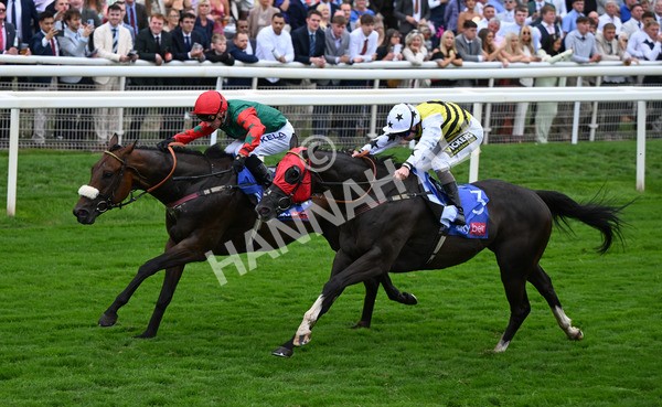 230825-229 Northern Ticker - Race 5 4.10pm Sky Bet Constantine Handicap