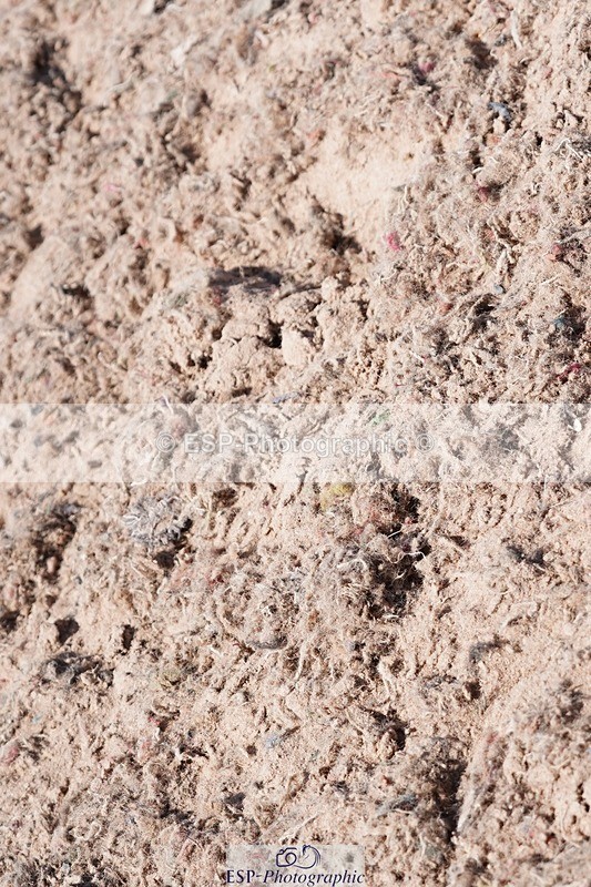 250503-140100-01197 - Cls 27 Stepping Stones