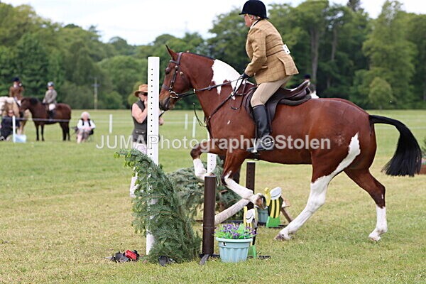IMG_2793 - Working Hunter
