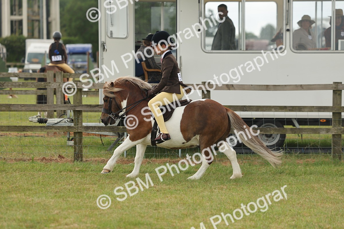 SBM_08901 - Class 78-80 - Ridden M&M Non Welsh Ponies