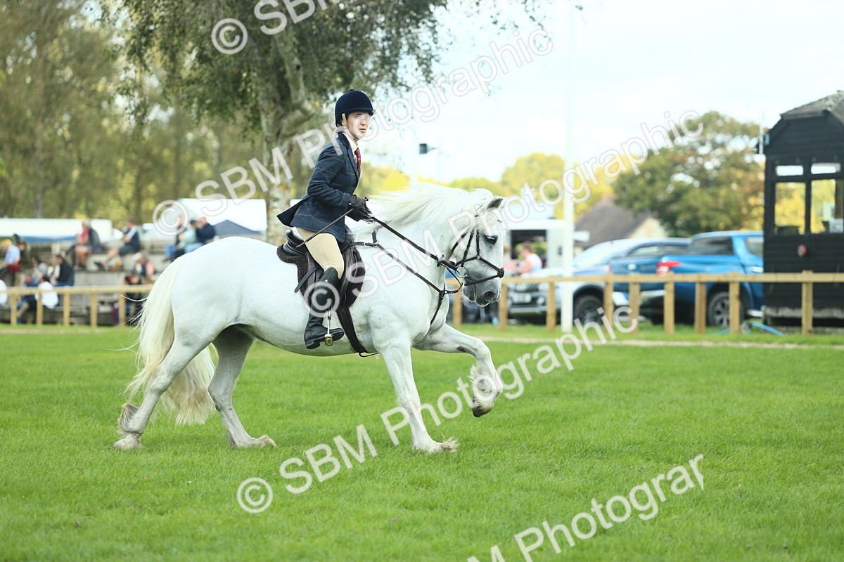 SBM_42921 - S30 - M&M Working hunter Pony