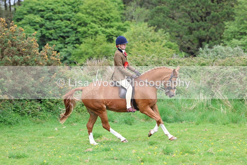 3E7A2248 - Ridden Championship