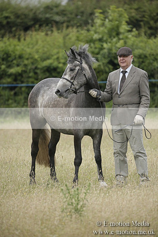 B230619-0054 - Bourne Valley Riding Club Summer Show 23/06/19