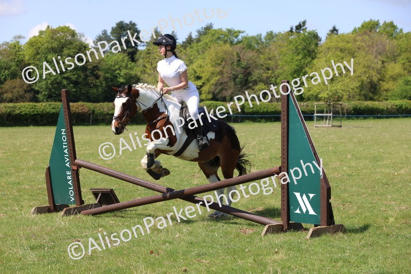 20250427-2620 - Class 20 - Working Hunter Ponies