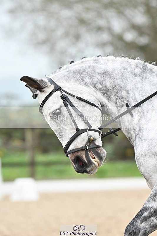 241103-112100-01173 - Prelim 1 - 10.04 to 11.21