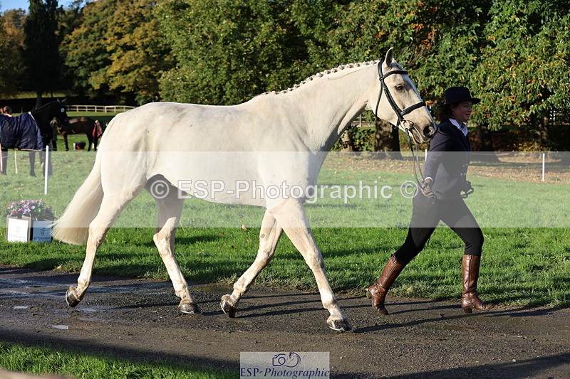 251026A-093322-22329 - D-344-Johanne.Heuff