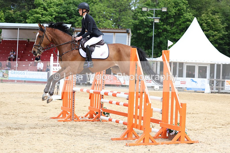 3E7A8564 - Class 4: Senior British Novice/90cm open