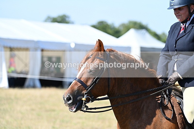 WJ7_3826 - Class 9 Mountain & Moorland Ridden