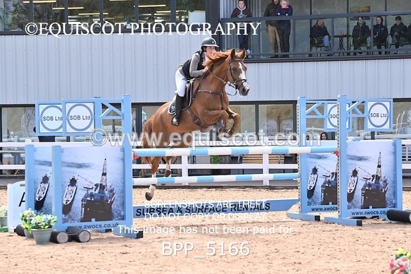 BPP_5166 - CLASS 8 THURS HOYS GFS Saddles Senior Newcomers Second Round