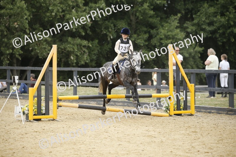 20250622-6207 - 60cm