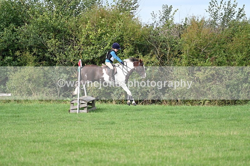 WJ7_8415 - 60cm Pairs