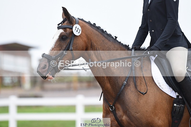 230708A-125610-01803 - Prelim 7