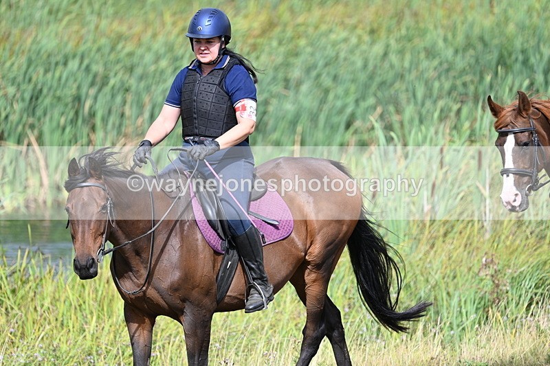 WJ7_5227 - Time 11:22 to 11:41