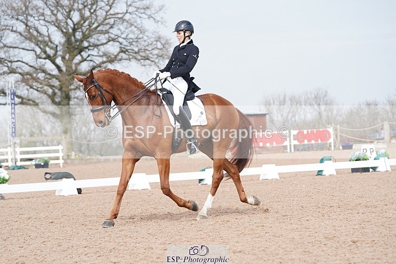 250404-112350-05430 - 009-Sarah.Stewart-Djoe.Dimaggio