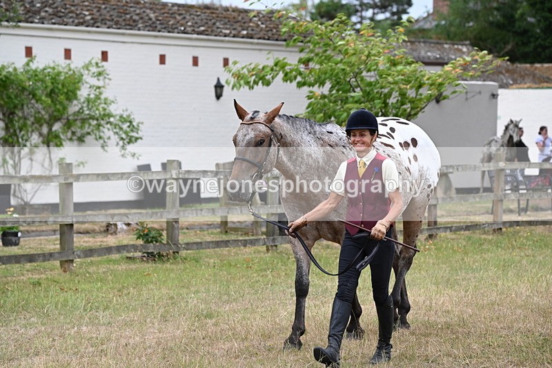 WJ6_7995 - Class 10 Coloured in Hand
