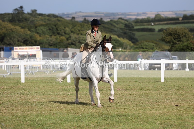 JPP_2807 - Class 20: Working Hunter 70cm