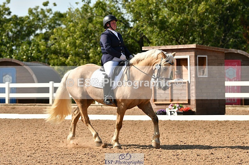 250817-162011-11562 - 216-Chloe.WaltonHaytors.Lord.of.the.Dance