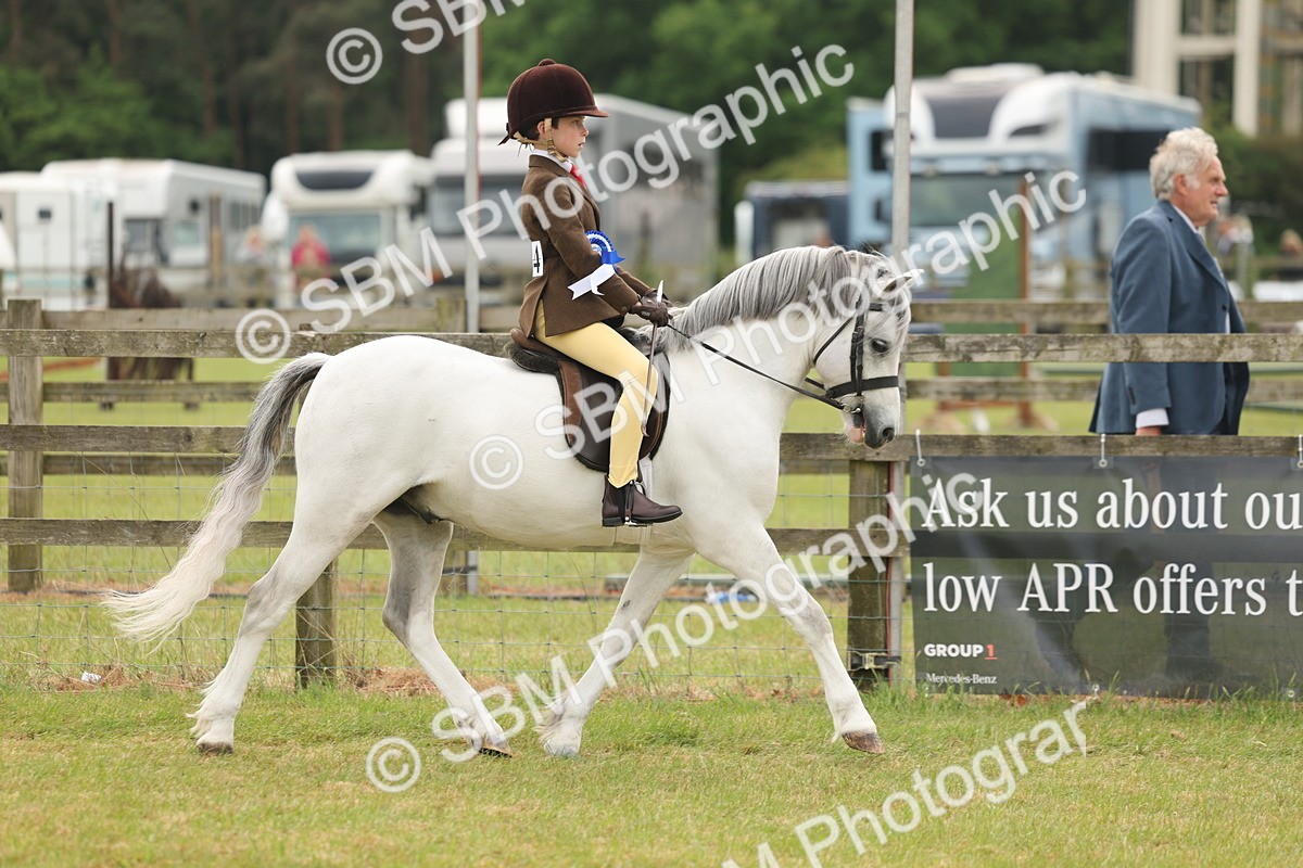 SBM_06964 - Class 74-75 - M&M Lead Rein and First Ridden Pony