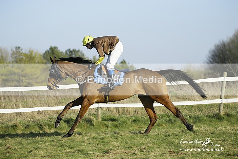 PtP 270222 490 - South & West Wilts Point-to-Point Larkhill 27/02/22